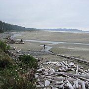 Picture 274